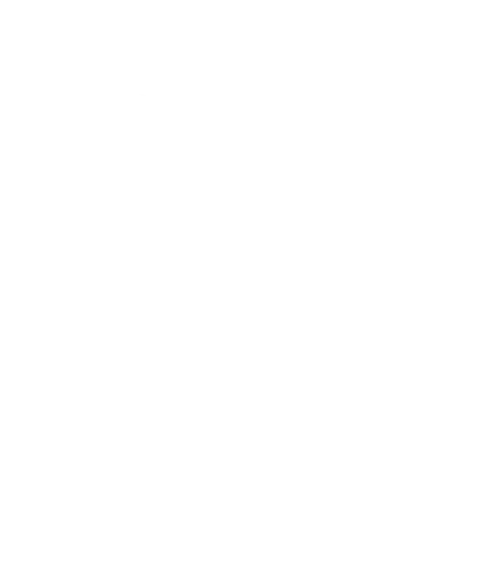 sprint_plane_top